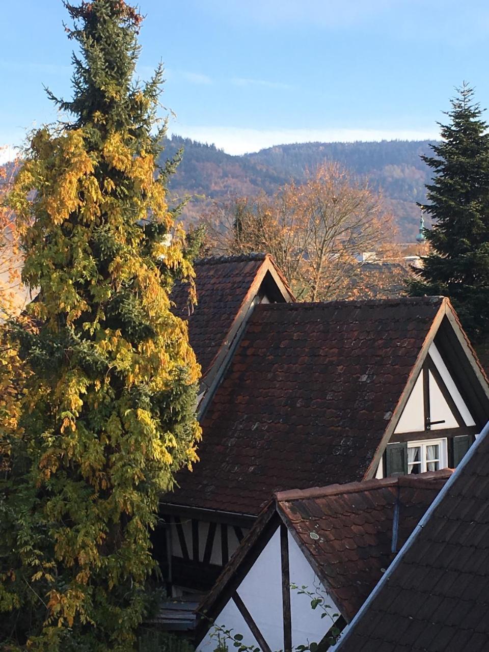 Die Gruene Bettlad Boutique-Hotel Bühl Esterno foto
